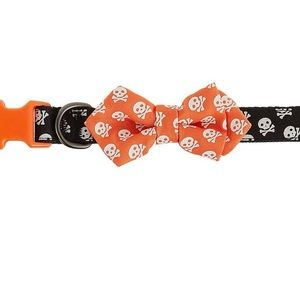 Thrills & Chills Glow In The Dark Halloween Dog Collar ☠️